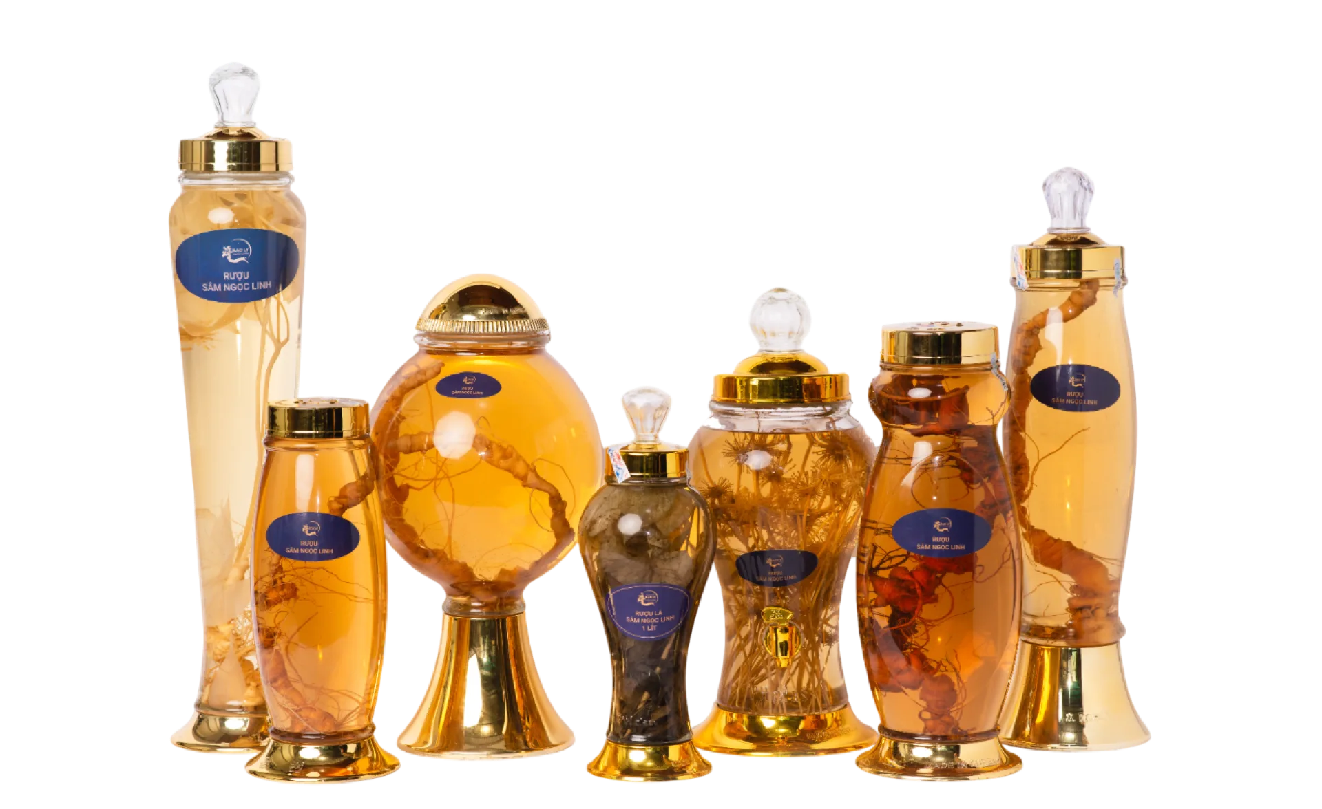 Bình rượu sâm Ngọc Linh