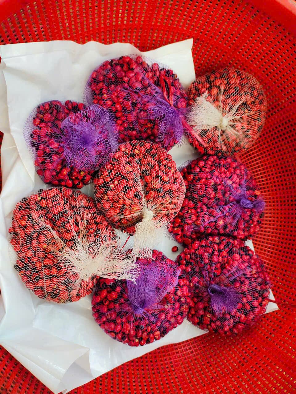 Hạt Sâm Ngọc Linh